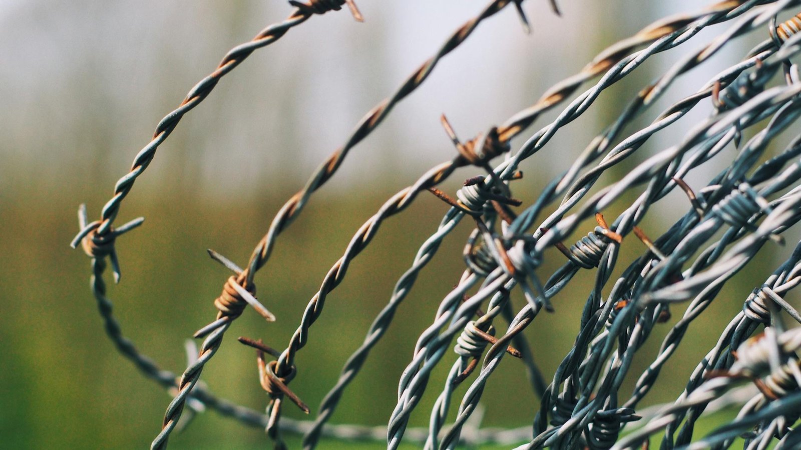 close up photography of barbed wire